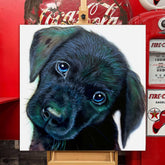 Dog Canvas Art - Curious Companion by Chris Tutty